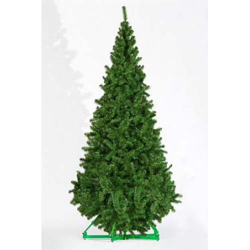 Ель Рублевская 